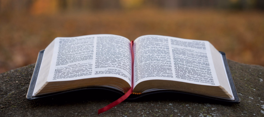 biblias en español para xiphos listas para descargar