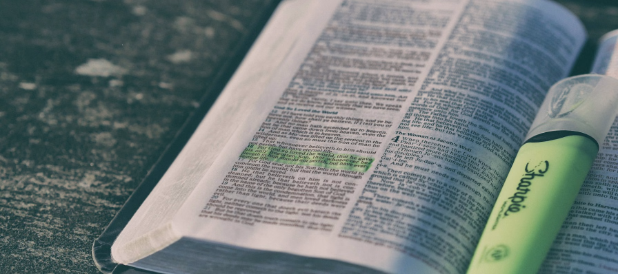 como estudiar la biblia para principiantes