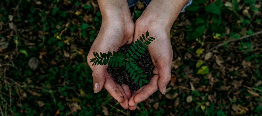 La virtud de reciclar