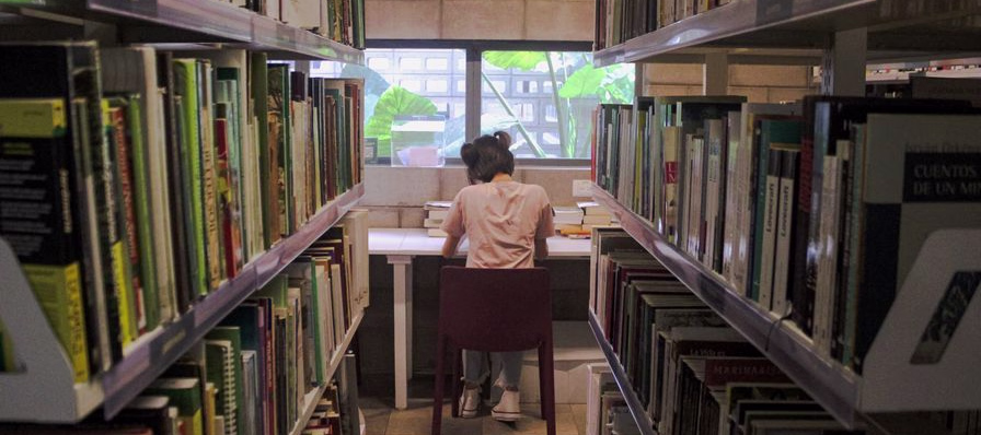 Ventana de Calibre mostrando una biblioteca digital organizada con portadas de libros electrónicos
